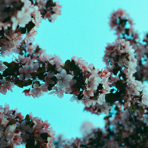 妈妈帮你打脚枪文章
